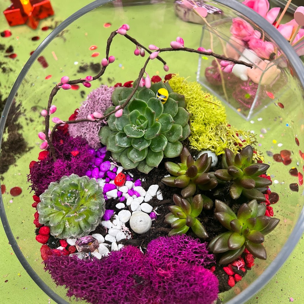 Open Glass Terrarium Class 1
